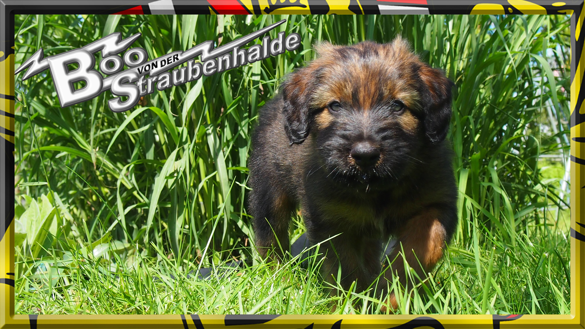 W&auml;ller von der Straubenhalde